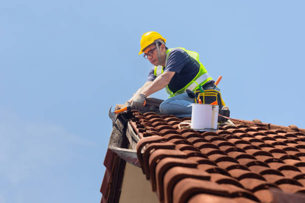 Best Rubber Roofing (EPDM, TPO)  in Aho Falls, ID